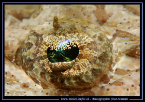 The eye of a Crocodile Fish.... ;O)... by Michel Lonfat 